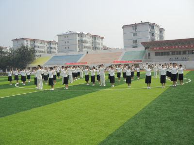 20190413083022236.jpg