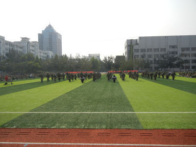 20190413083314674.jpg