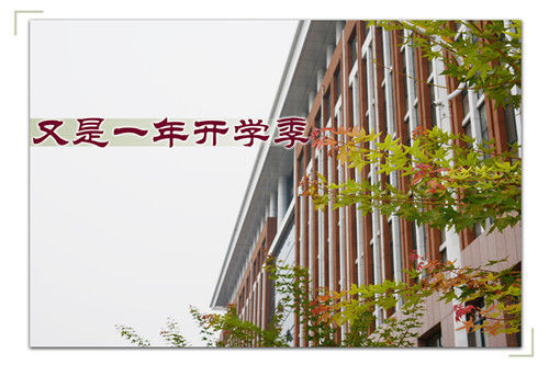 20190604101116360.jpg