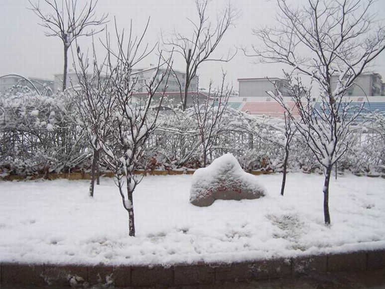 20190612104834312.JPG
