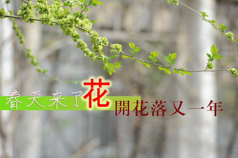 20190612110240281.jpg
