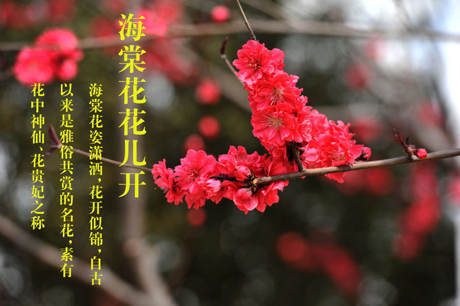 20190612110240797.jpg