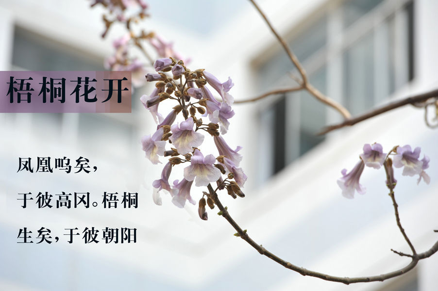 20190612110240907.jpg
