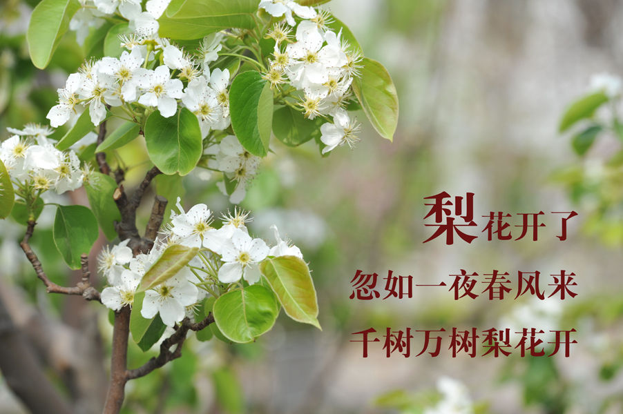 20190612110241120.jpg