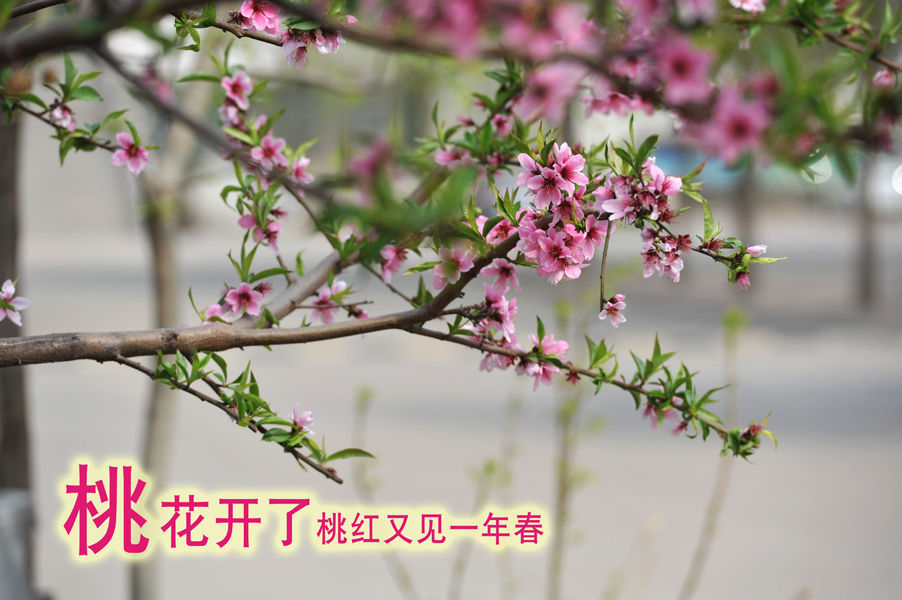 20190612110241379.jpg