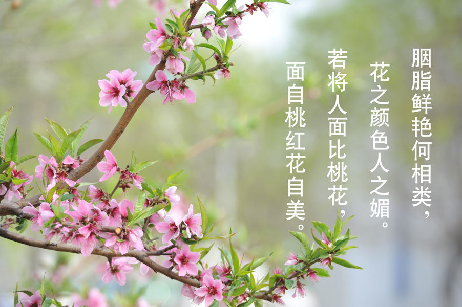 20190612110242753.jpg