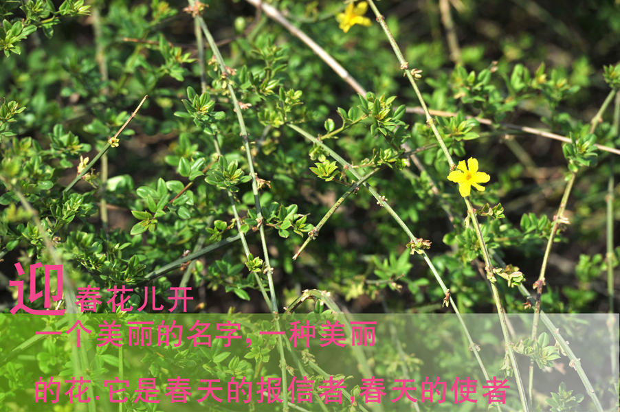 20190612110242755.jpg