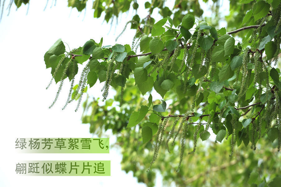 20190612110242912.jpg