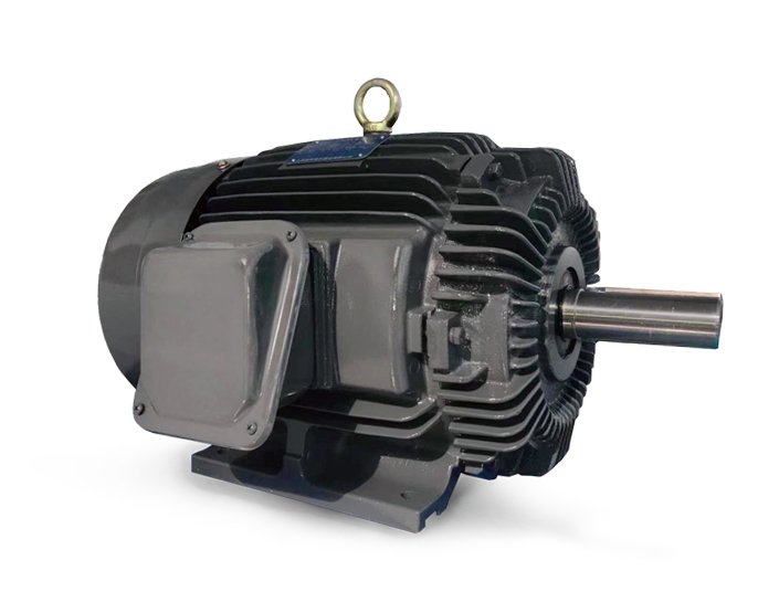 IEC Standard Motors PRODUCTSPRODUCTS GW ELECTRIC (SHANGHAI) CO , LTD.