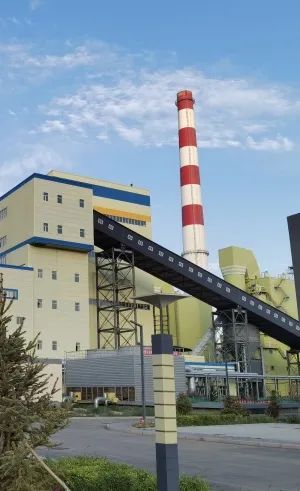 20231215144807645.jpg 圖片