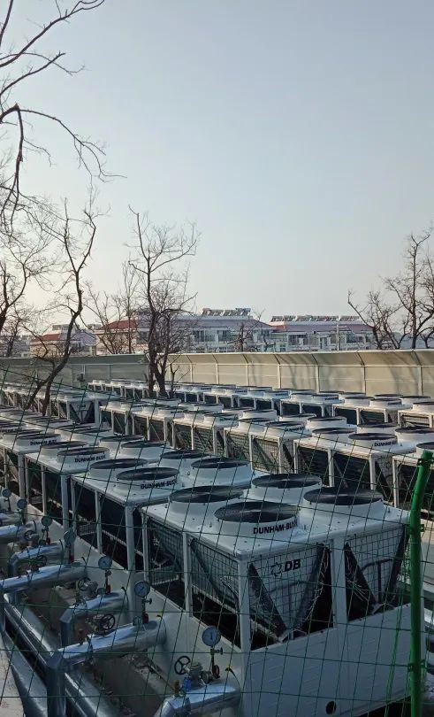 20231215144808683.jpg 圖片