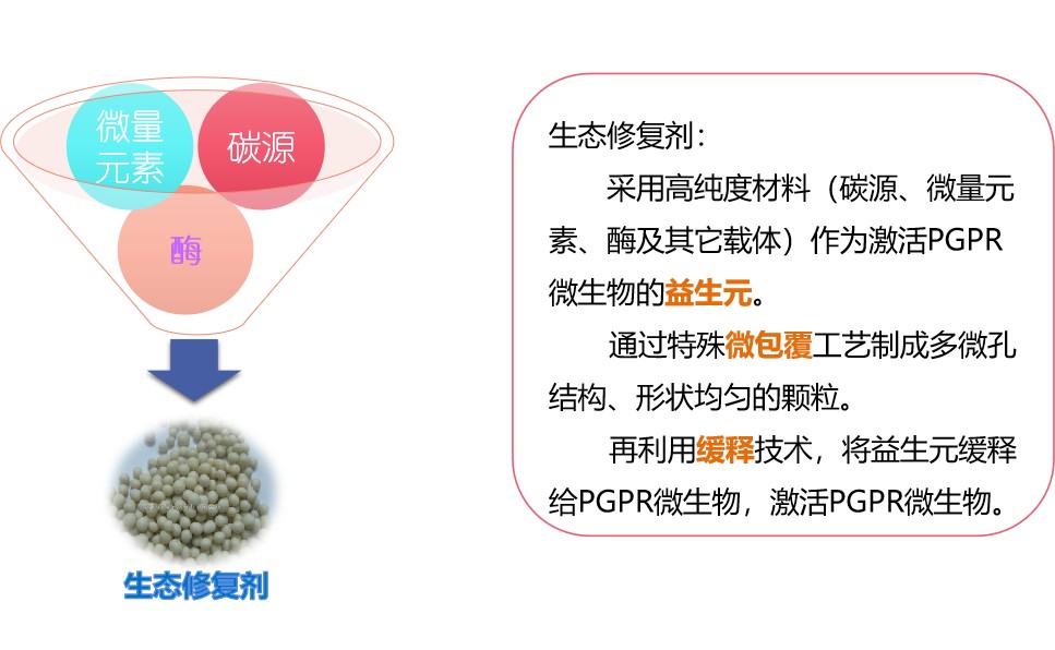 ISSA PGPR（In Situ Selective Activation of PGPR)原位水生態(tài)修復(fù)技術(shù)（二）