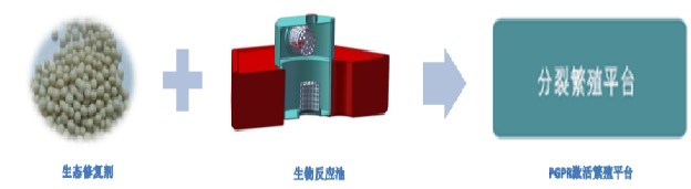 苏州硕亚环保科技有限公司ISSA PGPR（In Situ Selective Activation of PGPR)原位水生态修复技术（二）