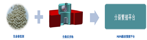 苏州硕亚环保科技有限公司ISSA PGPR（In Situ Selective Activation of PGPR)原位水生态修复技术（二）