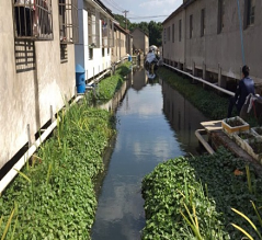 苏州硕亚环保科技有限公司江苏省昆山市阮家浜村锦溪项目.png