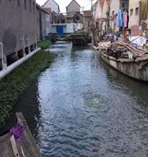 江蘇省昆山市阮家浜村錦溪項(xiàng)目