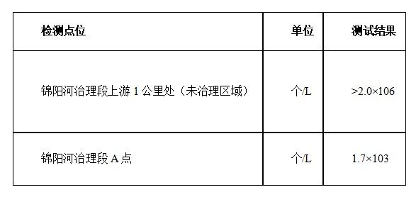 碩亞原位水生態(tài)修復(fù)系統(tǒng)技術(shù)特點(diǎn)（一）