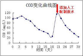 碩亞原位水生態(tài)修復(fù)系統(tǒng)技術(shù)特點(diǎn)（一）