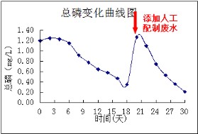 碩亞環(huán)保原位水生態(tài)修復(fù)系統(tǒng)技術(shù)特點(diǎn)(一) 碩亞原位水生態(tài)修復(fù)系統(tǒng)技術(shù)特點(diǎn)(一)