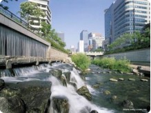 碩亞環(huán)保原位水生態(tài)修復(fù)系統(tǒng)技術(shù)特點(diǎn)(一) 碩亞原位水生態(tài)修復(fù)系統(tǒng)技術(shù)特點(diǎn)(一)