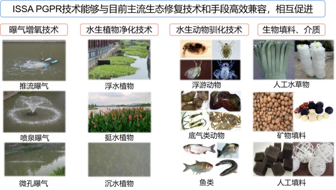 碩亞環(huán)保原位水生態(tài)修復(fù)系統(tǒng)技術(shù)特點(二) 碩亞環(huán)保原位水生態(tài)修復(fù)系統(tǒng)技術(shù)特點(二)