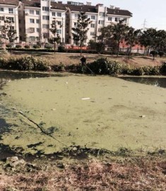 20211123103539224.png image.png