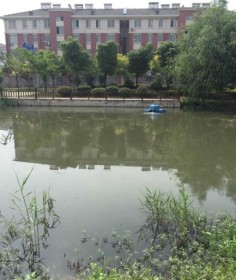 20211123103603914.png image.png