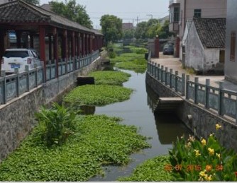 余姚東街直江水生態(tài)修復項目-碩亞環(huán)保