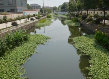 余姚東街直江水生態(tài)修復項目-碩亞環(huán)保