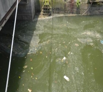 沈字漕水質(zhì)提升項目-碩亞環(huán)保