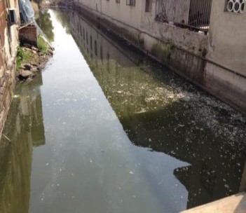 沈字漕水質(zhì)提升項目-碩亞環(huán)保