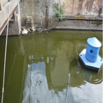 沈字漕水質(zhì)提升項目-碩亞環(huán)保