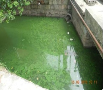 新河江水生態(tài)修復(fù)項(xiàng)目-碩亞環(huán)保