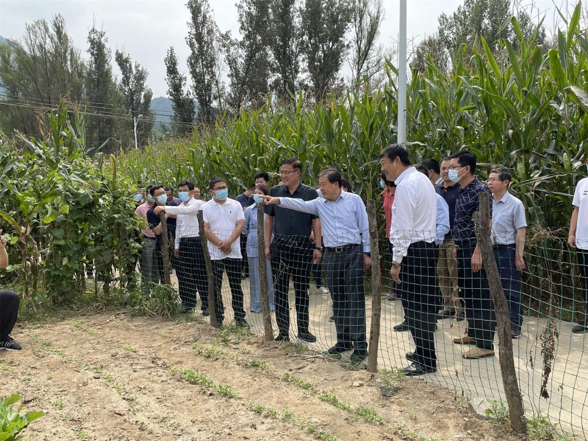生態(tài)環(huán)境部土壤生態(tài)環(huán)境司司長(zhǎng)蘇克敬等領(lǐng)導(dǎo)蒞臨隆化縣視察碩亞環(huán)保項(xiàng)目