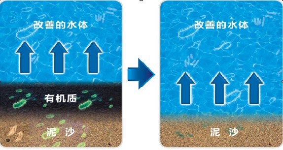 底泥修復(fù)技術(shù)淺談(二)-碩亞環(huán)保 底泥修復(fù)技術(shù)淺談(二)-碩亞環(huán)保