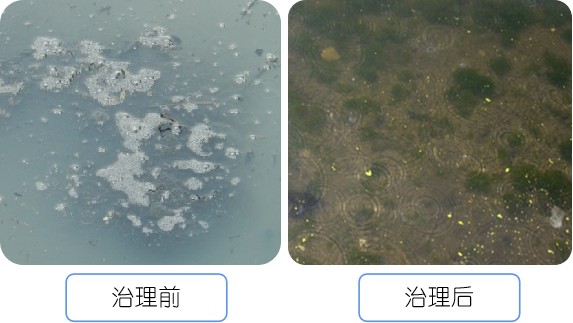 底泥修复技术浅谈（二）