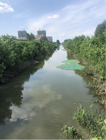 江蘇省宿遷市泗陽縣泗塘河水生態(tài)治理項目-碩亞環(huán)保