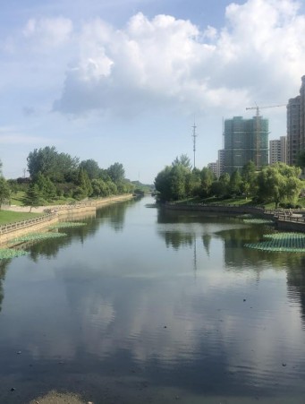 江苏省宿迁市泗阳县泗塘河水生态治理项目-硕亚环保