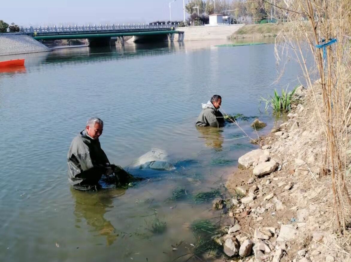碩亞微科普|水下森林建設(shè) 碩亞微科普|水下森林建設(shè)