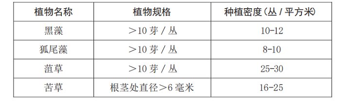 硕亚微科普|水下森林建设
