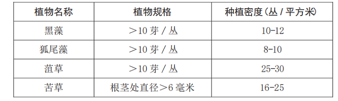 碩亞微科普|水下森林建設