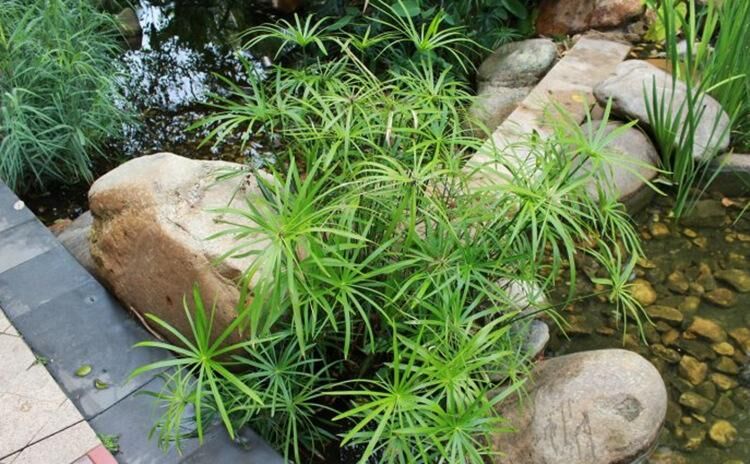 20211208165545686.jpg 20211208165545686.jpg