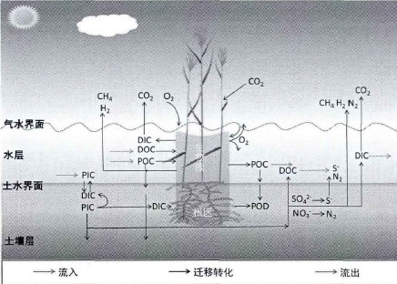 20220107085112175.png 20220107085112175.png