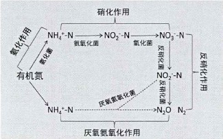 20220107085158479.png 20220107085158479.png