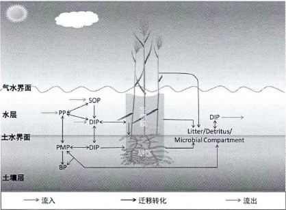 20220107092140938.png 20220107092140938.png