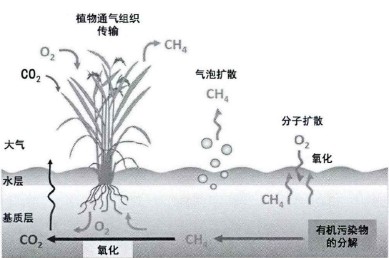 20220210091148873.png image.png