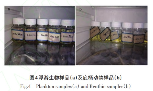 20220315131939486.png image.png