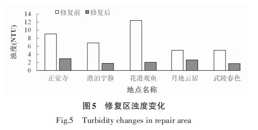 20220315132048421.png image.png