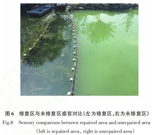 20220315132103182.png image.png