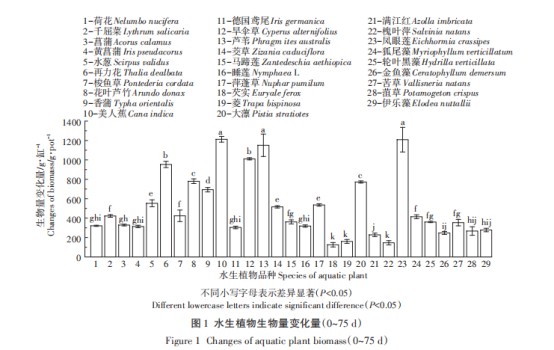 20220318094215805.png image.png